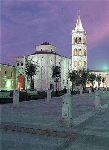 Olives Zadar